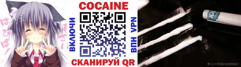Купить закладки  Губкин  COCAIN Fish Scale 