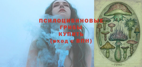дурь Инсар