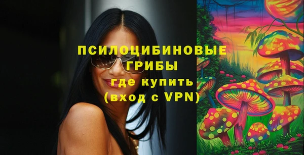 дурь Инсар