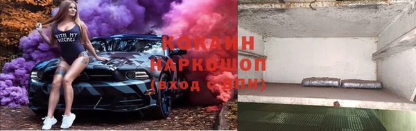 дурь Инсар