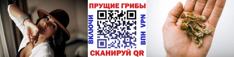 Галлюциногенные грибы GOLDEN TEACHER Губкин