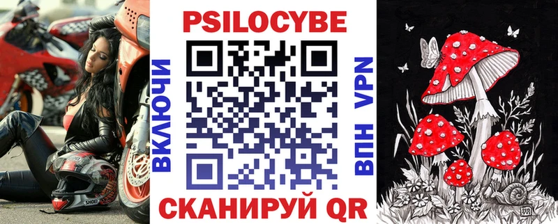 Галлюциногенные грибы Cubensis  Купить  Губкин 