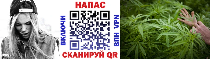 Бошки марихуана White Widow  Купить закладки  Губкин 